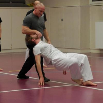 Cours de Taekwondo - Adultes